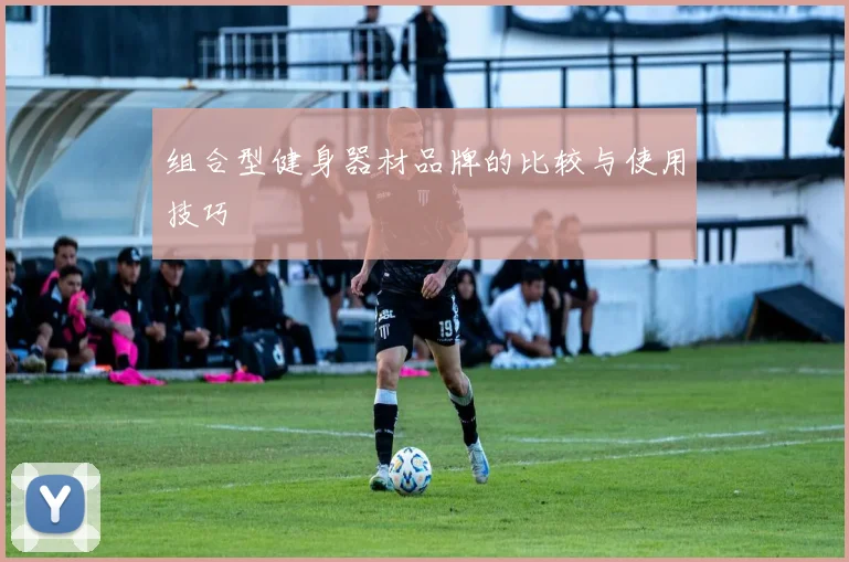 组合型健身器材品牌的比较与使用技巧